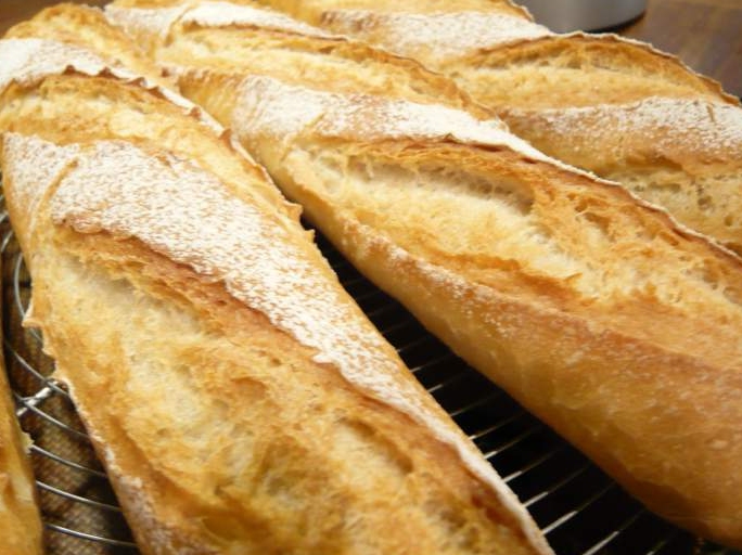 figarol image jointe